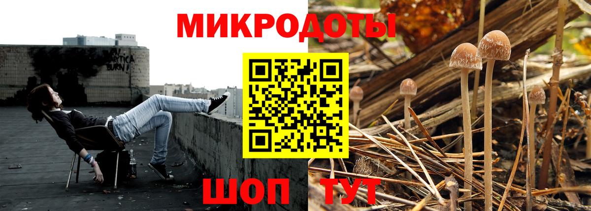 Галлюциногенные грибы Cubensis  Вход с VPN  Кисловодск  Псилоцибиновые грибы Cubensis 