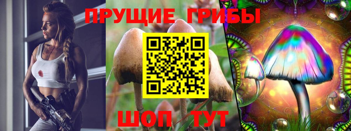 Галлюциногенные грибы мицелий Кисловодск