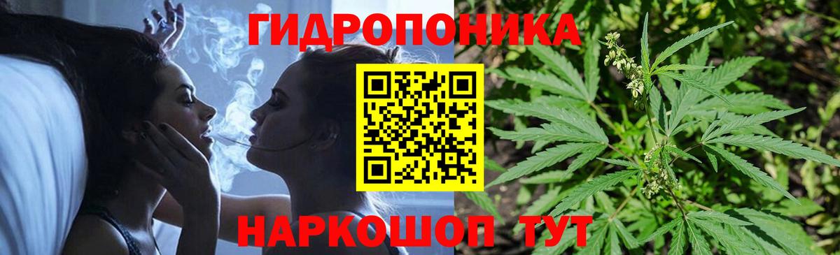 Бошки Шишки сатива Кисловодск